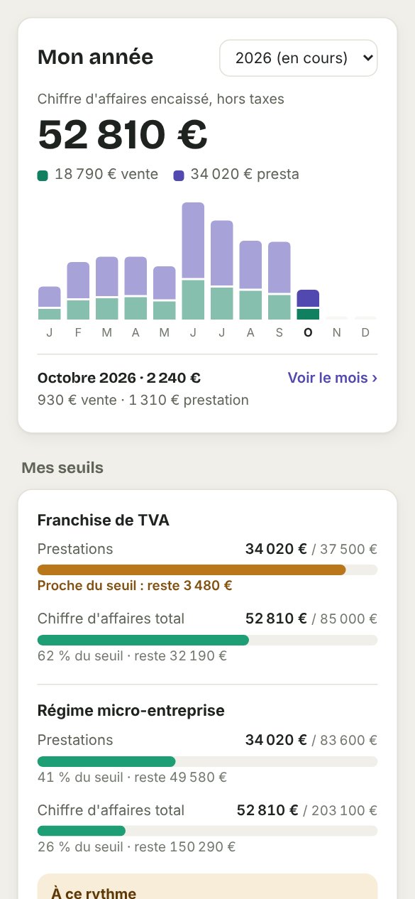 Écran Année : chiffre d'affaires mois par mois et jauges des seuils de TVA et du régime micro.